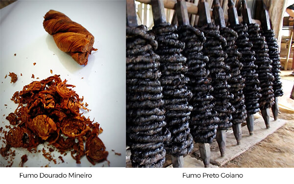 fumo mineiro vs fumo goiano