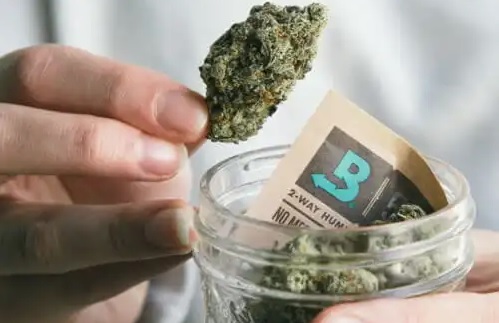 Como conservar maconha? Dicas para guardar sua&nbsp;erva!