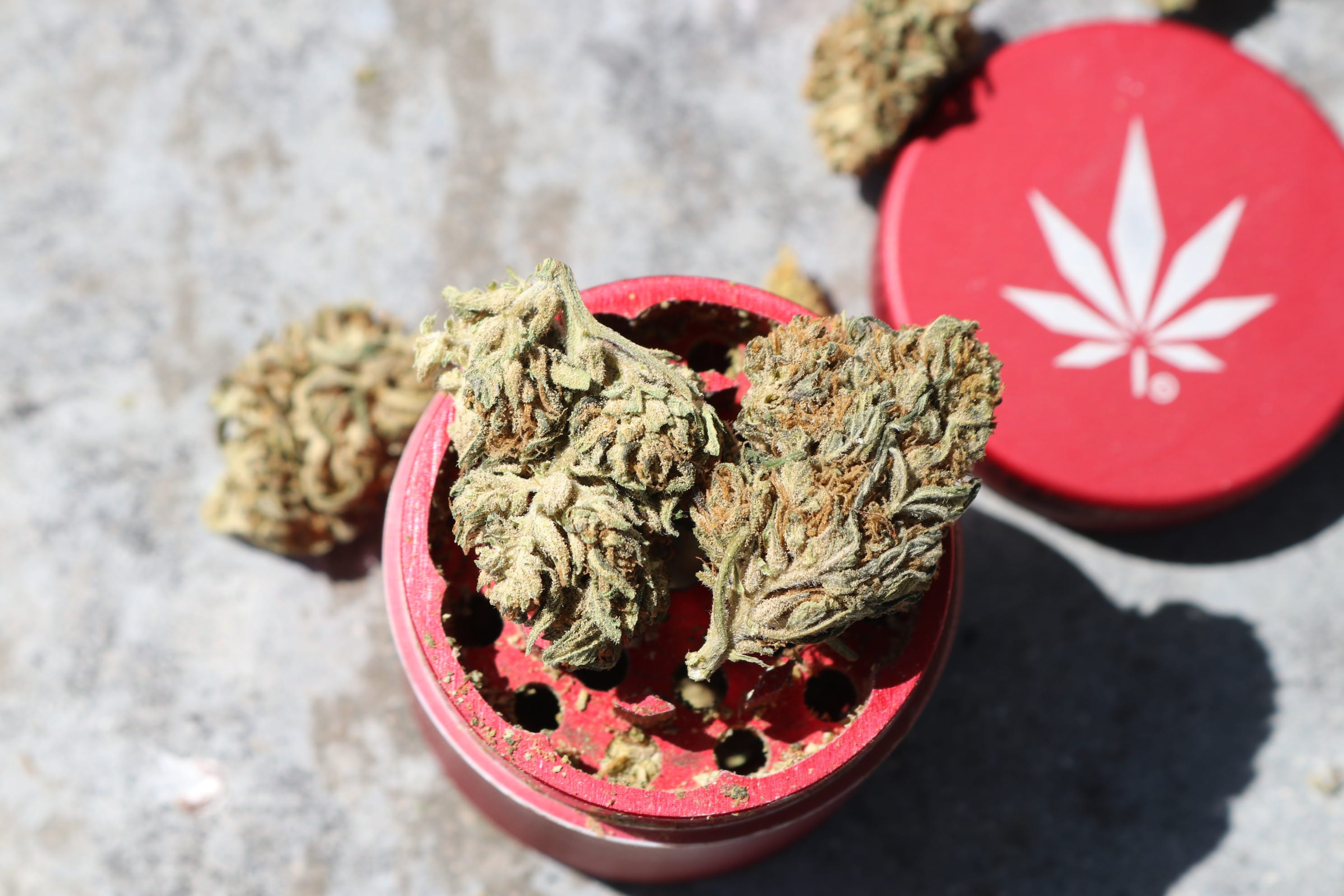 dichavador vermelho com bud