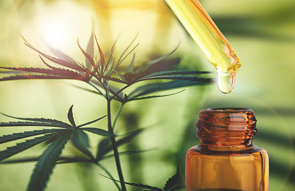 Os terpenos tem comprovados efeitos medicinais