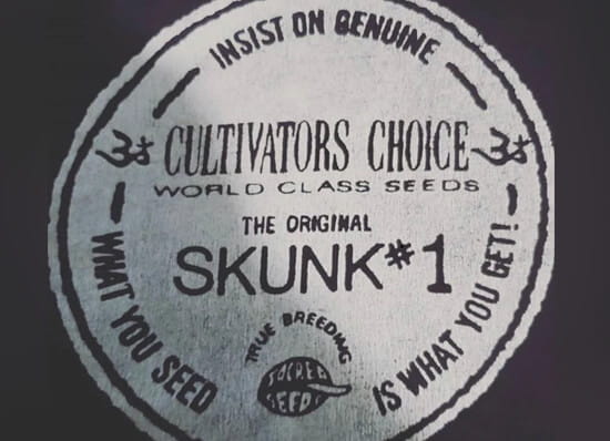 Logo do skunk sacred seeds