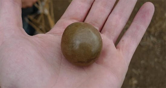 O que é haxixe? bola de haxixe