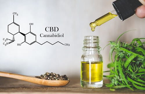 Canabidiol: o que é? Para que serve? Como usar o&nbsp;óleo?