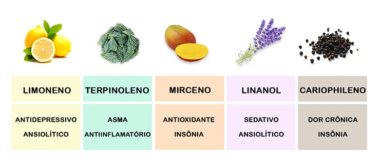 Principais Terpenos da Cannabis