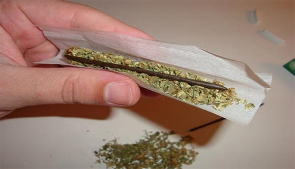 Haxixe: o que é? Como usar? Quais são os efeitos?!&nbsp;Confira!