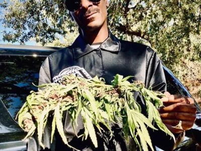 10 Celebridades que Fumam&nbsp;Maconha