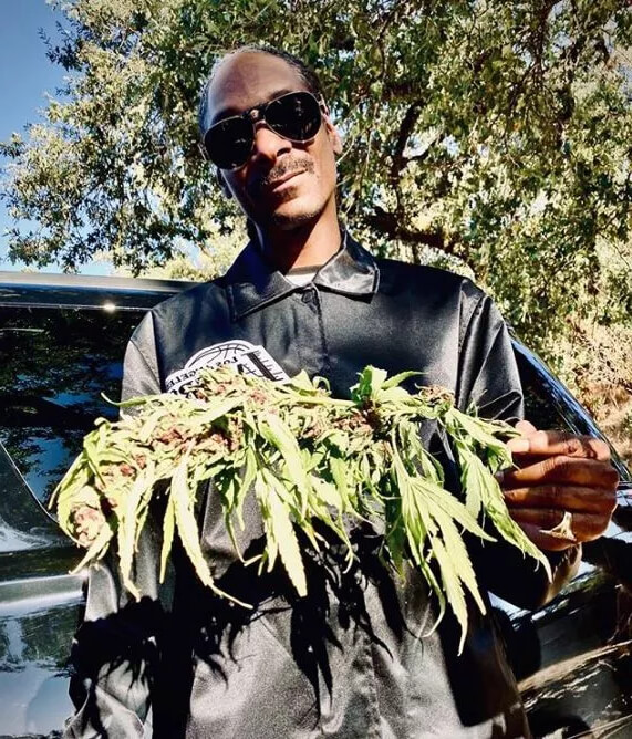 10 Celebridades que Fumam Maconha