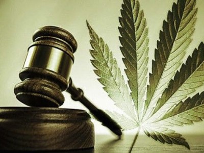 STF decide que Não é Crime Portar Maconha para Uso&nbsp;Pessoal