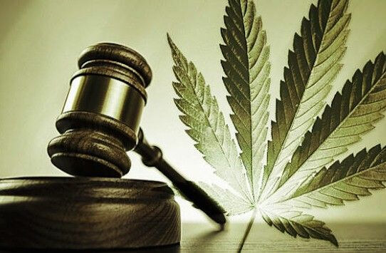 STF decide que Não é Crime Portar Maconha para Uso Pessoal