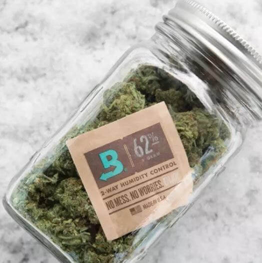 Sua Erva está Seca? Como Hidratar sua&nbsp;Maconha