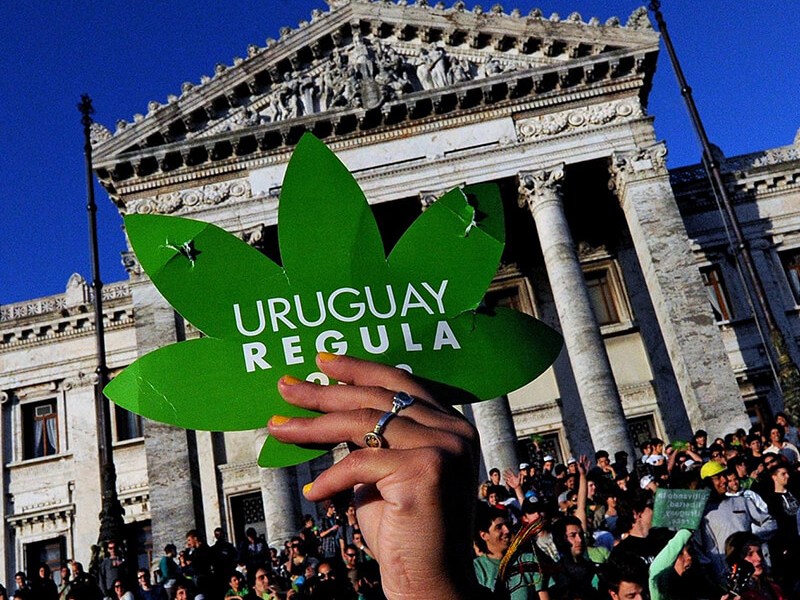 O que realmente mudou no Uruguai depois da legalização da&nbsp;maconha?