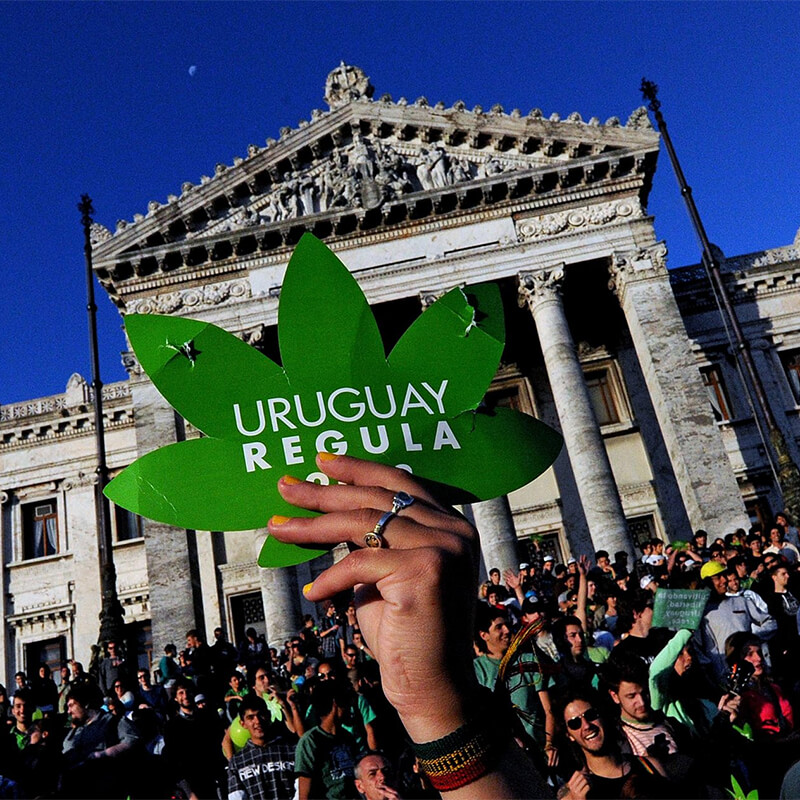 O que realmente mudou no Uruguai depois da legalização da maconha?