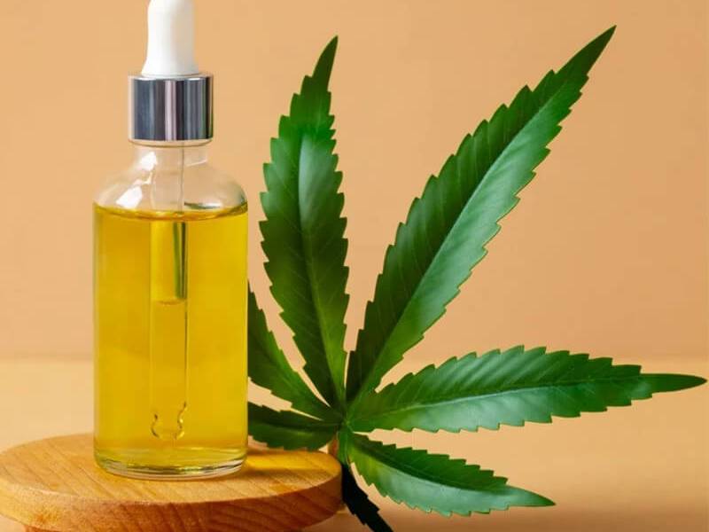 ANVISA libera cultivo de Cannabis&nbsp;Medicinal