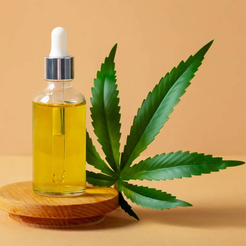 ANVISA libera cultivo de Cannabis Medicinal